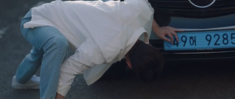 9. Dosan Char Consistency Version 1 & 2. Click!! Click!! With the Imaginary Camera!! Then Meow!! Meow!! With the Imaginary plus Real Kitty Cat  When you literally code and do Image Recognition 