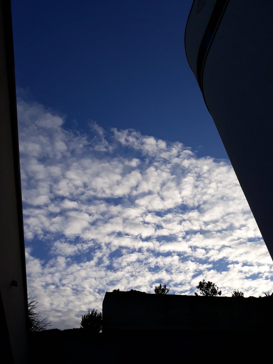 CMSagace's tweet photo. 《Dio, che di luce rivesti il mattino, il tuo inesorabile amore oggi custodisca i nostri passi》 #LitOre #Lodi #RitoAmbrosiano https://t.co/8hfm8b5xuD