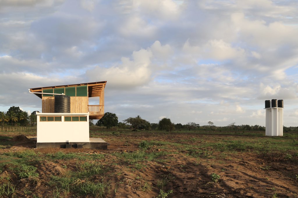 ...at a site up in Tanga,  #Tanzania, we're growing different species of bamboo to assess their suitability for construction. We're also working on a farmhouse which showcases some different ways to use bamboo at a building scale including roof, doors, cladding and furniture