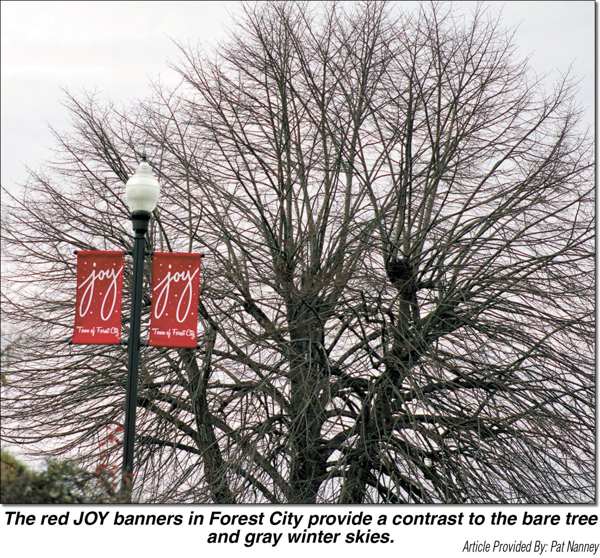 Rutherford Weekly (@rutherfordwkly) on Twitter photo 