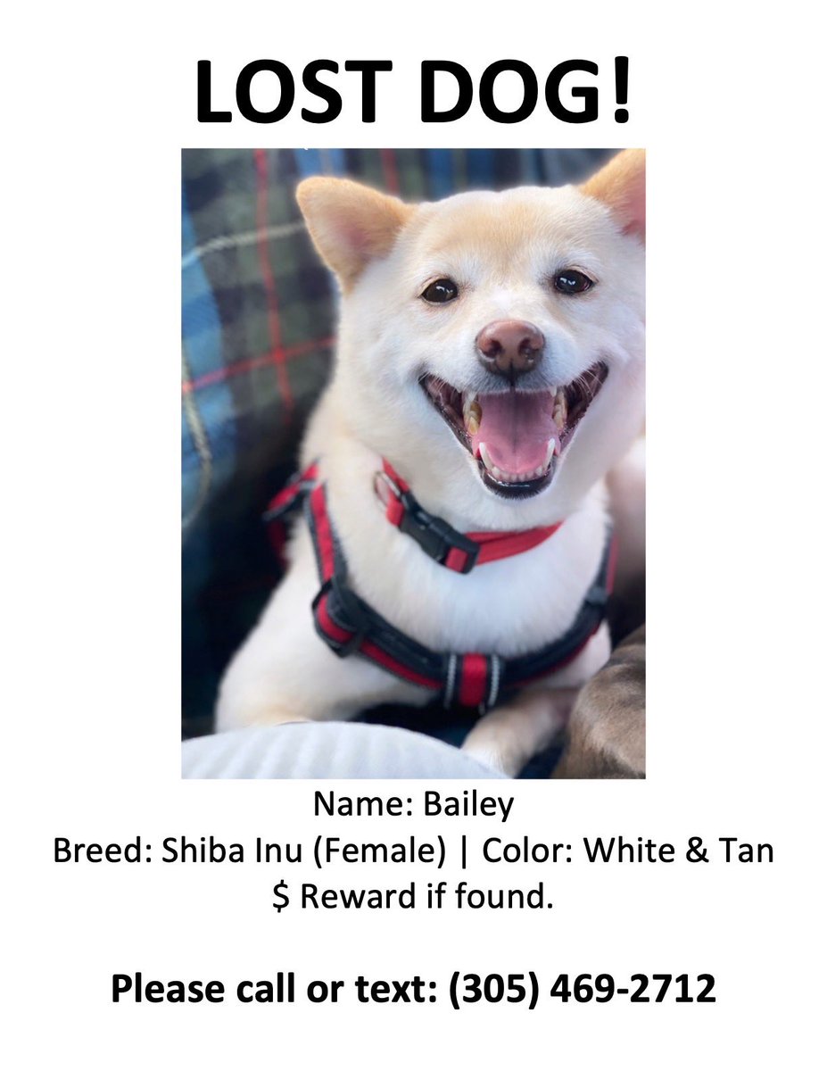 Rebecksterrr's tweet photo. Do your thing Twitter! #BringBaileyBack we miss her SO much π₯ΊπππΌ https://t.co/FFSjJ5um6I