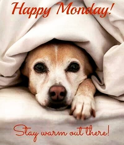 IAmASockStar's tweet photo. Good morning Sock ⭐s and #HappyMonday! Keep your feet warm with our #socks at https://t.co/nzU9uAZOu8! https://t.co/nAMtp4jz9a