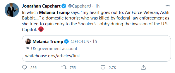 Corporate media spent a year lionizing George Floyd (an armed robber and junkie), Rayshard Brooks (a child abusing drunk) and Jacob Blake (a man who sexually assaulted his GF in front of her daughter) but a USAF vet who demonstrated against election fraud is a terrorist.