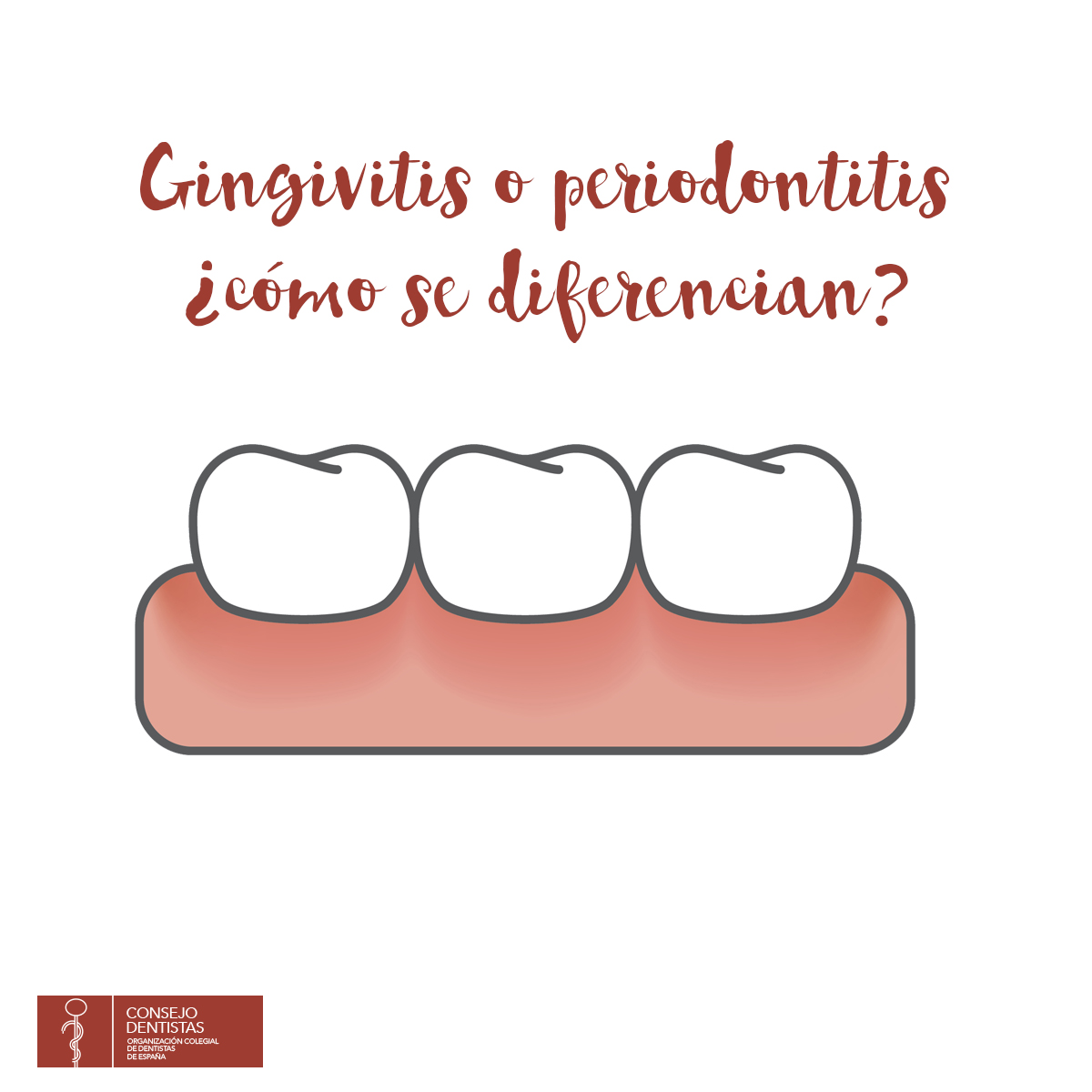 Consejo General de Dentistas de España tweet media
