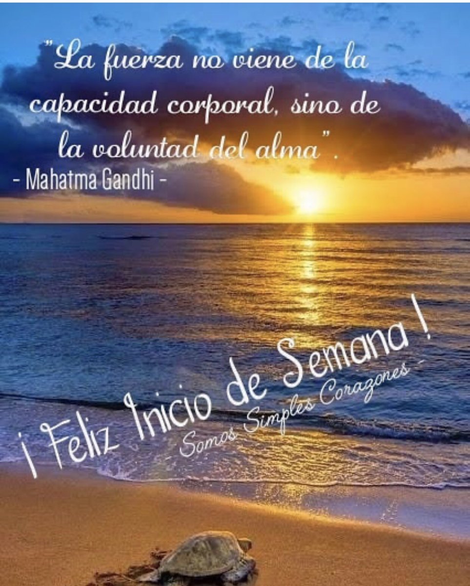 sina91262's tweet photo. Feliz Lunes e inicio de semana gente bella ....A cuidarse...🙏😷☀️🌈☘️🍂 https://t.co/2P0NbYnVsm