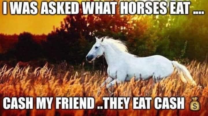 Unbridled Spirits Thoroughbred Retirement Ranch (@unbridledones) on Twitter photo 