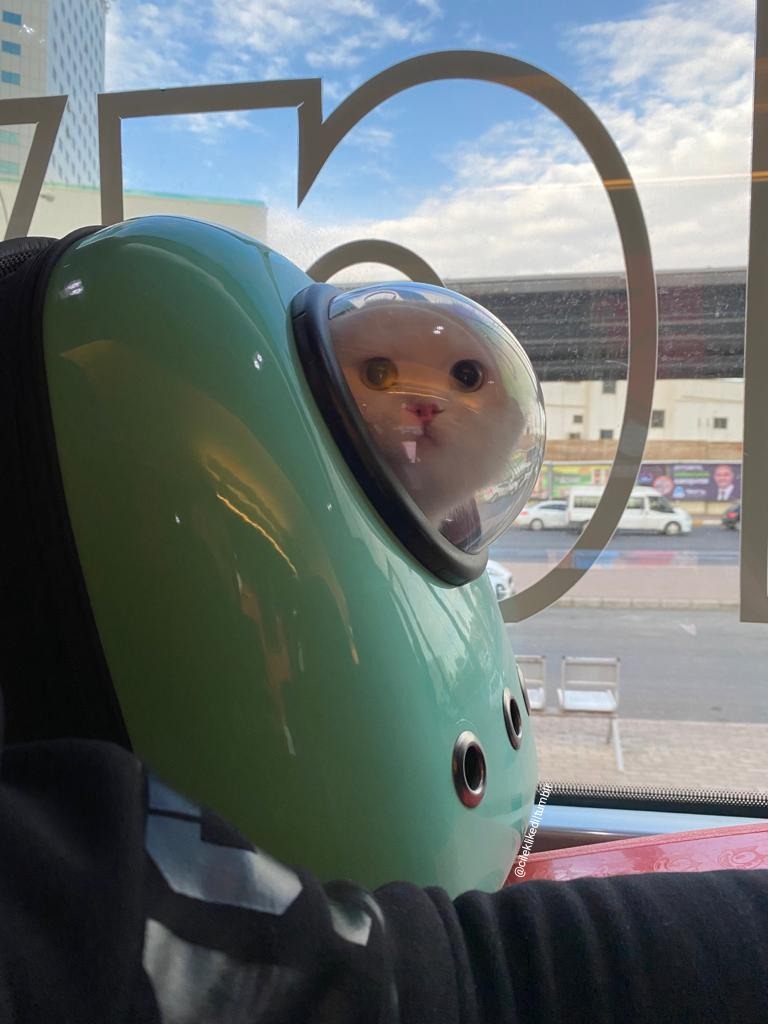 Mankind Down (@mankinddown) on Twitter photo 