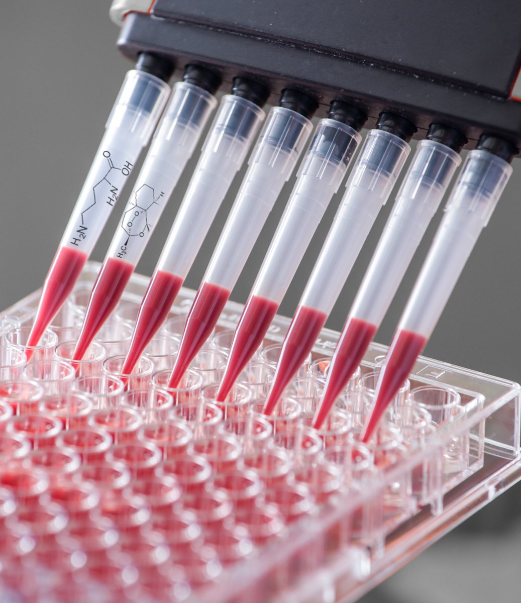 UPEndMalaria's tweet photo. A great team effort that will contribute towards malaria elimination. @UPTuks and @UPEndMalaria researcher’s team discovers new compounds with the potential to eliminate malaria.
https://t.co/p2SUnkKF90
#malariamustdie #upendmalaria #endmalaria #lifechangers #malariamustfall https://t.co/DC4igJss5J