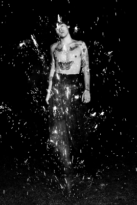  the iconic harry styles album photoshoot by harley weir; a thread 