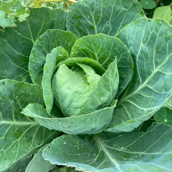 Reel Non Profit Organisation tweet media