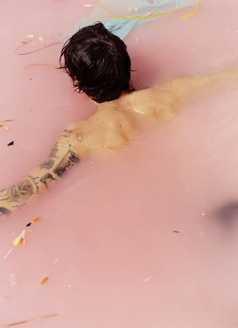  the iconic harry styles album photoshoot by harley weir; a thread 