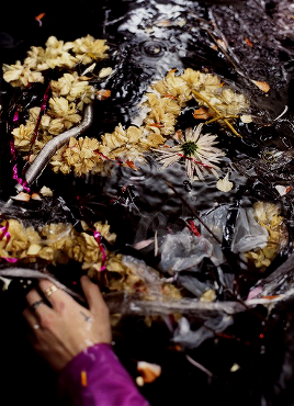  the iconic harry styles album photoshoot by harley weir; a thread 