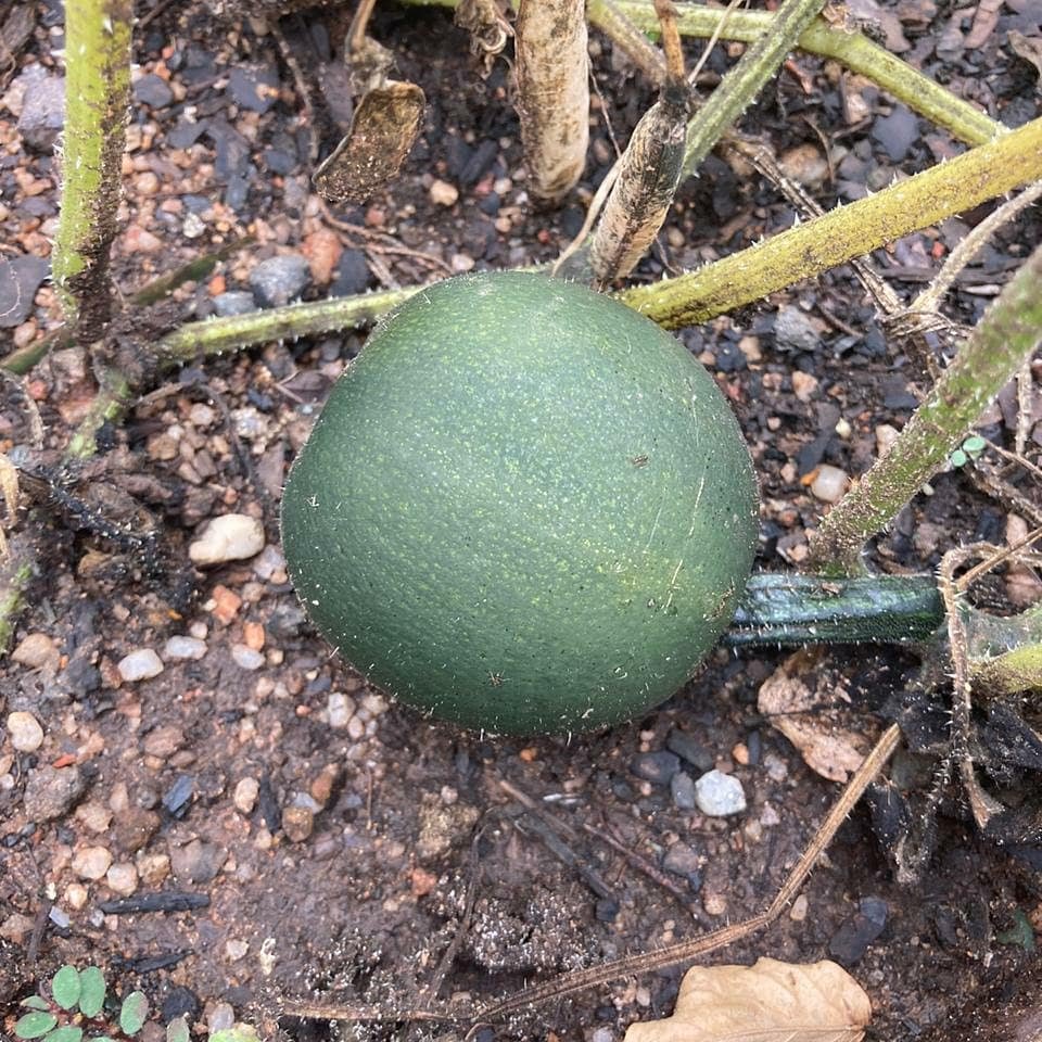 Reel Non Profit Organisation tweet media