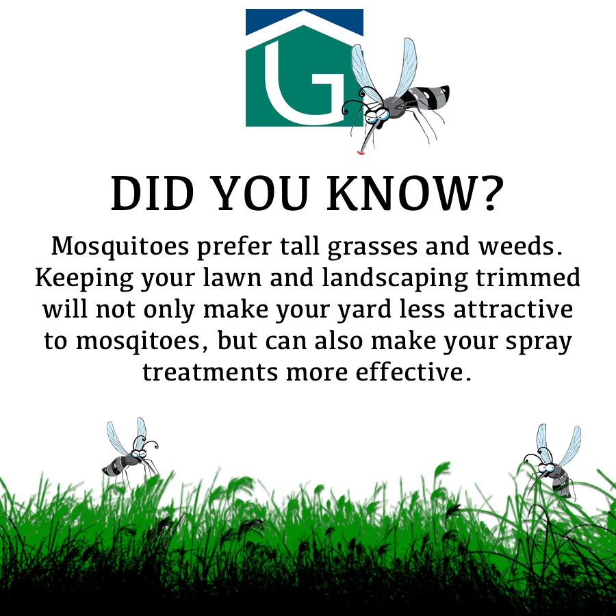 Who knew? Mowing your yard is half of the treatment plan for getting rid of mosquitoes. The other half? Groover Exterminating Inc. #thebugstopshere #nomoremosquitoes