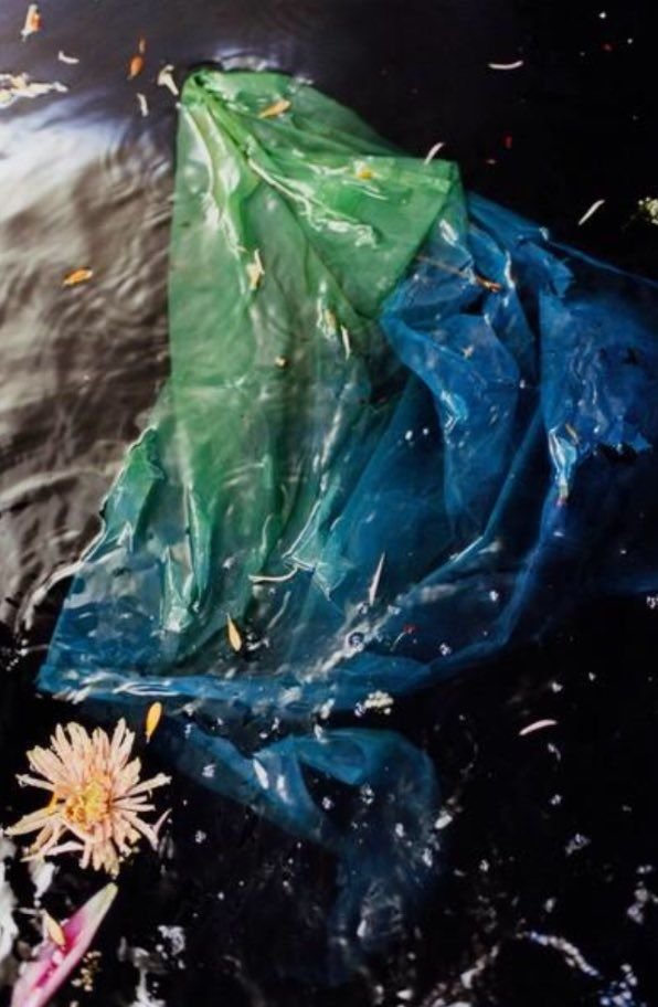  the iconic harry styles album photoshoot by harley weir; a thread 