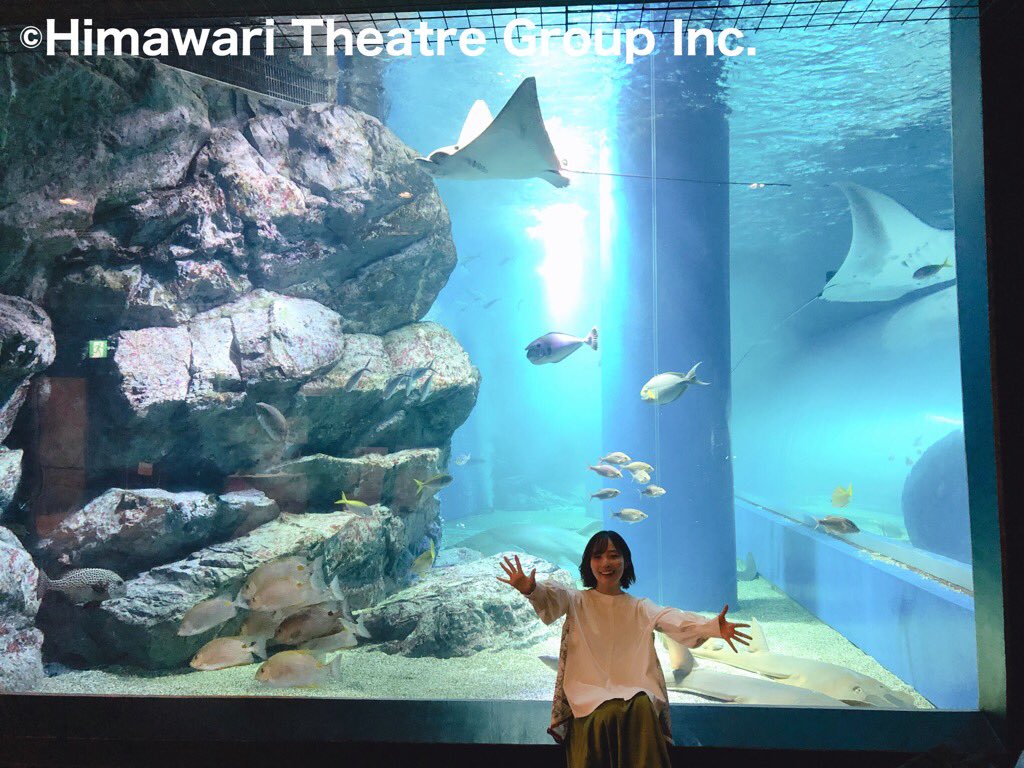 ジョゼと虎と魚たち 出演者 最新情報まとめ みんなの評価 レビューが見れる ナウティスモーション 5ページ目