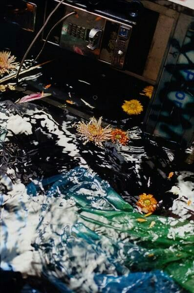  the iconic harry styles album photoshoot by harley weir; a thread 