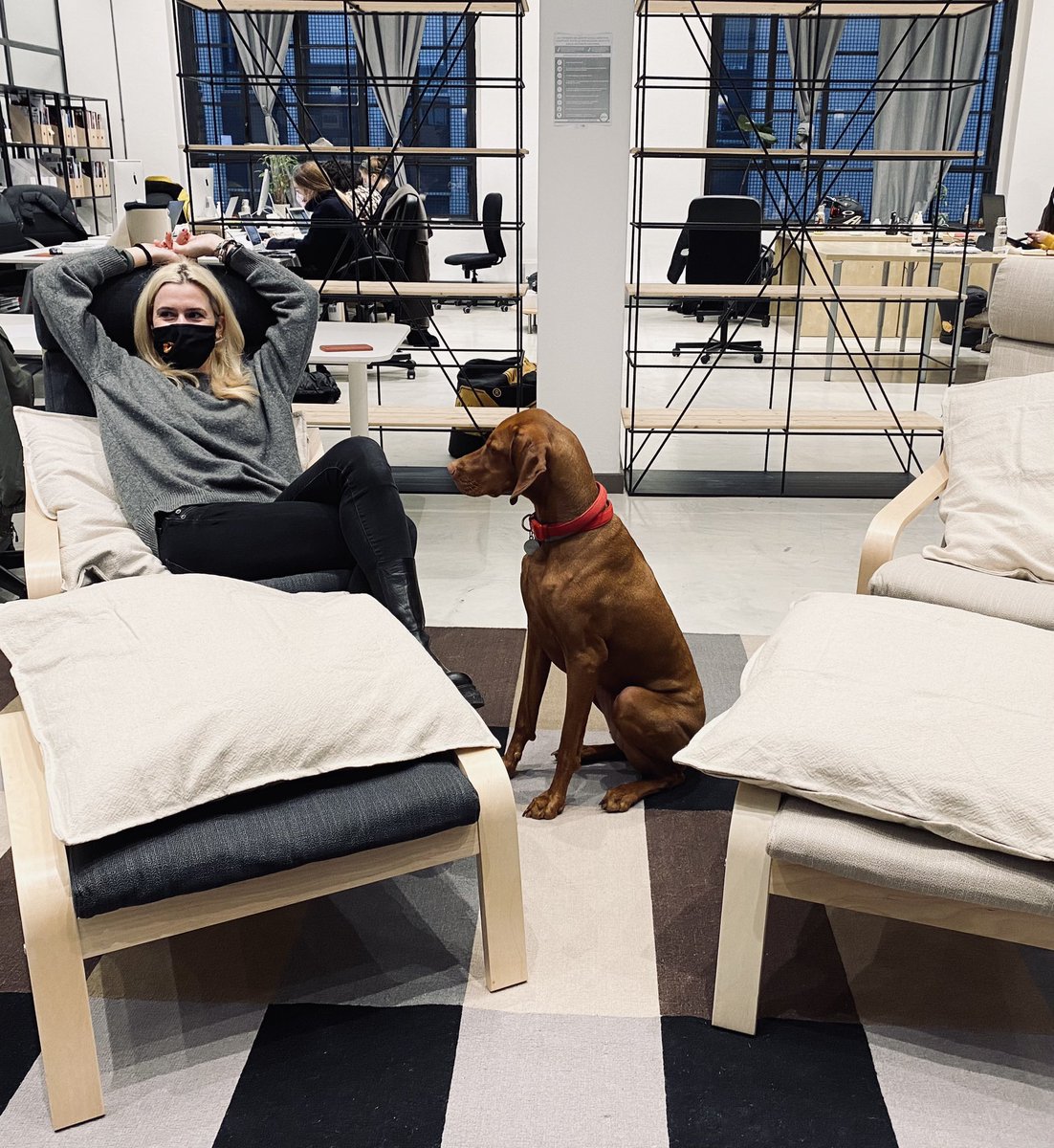 La mia cana ed io quando andiamo a trovare <a href="/greenmedialab/">Press Releases</a> 

#famoselanapausaognitanto