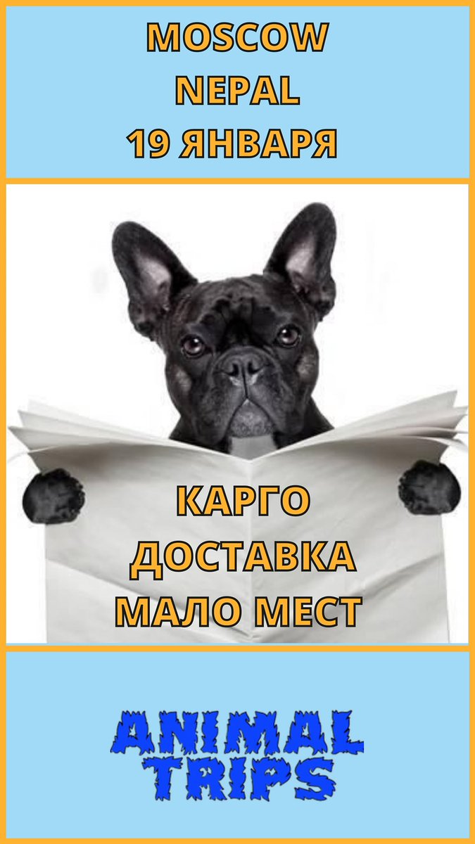 Отправка карго животных:

✅ КОНТАКТЫ: 

📲 +7(985)410-88-18 WhatsApp, Viber
☎ +7(495)480-88-18 Телефон
📲 @AnimalTrips_bot - Telegram
🌍 Наш сайт: animaltrips.ru 

#AnimalTrips #ПеревозкаЖивотных #ДоставкаЖивотных #Nepal
