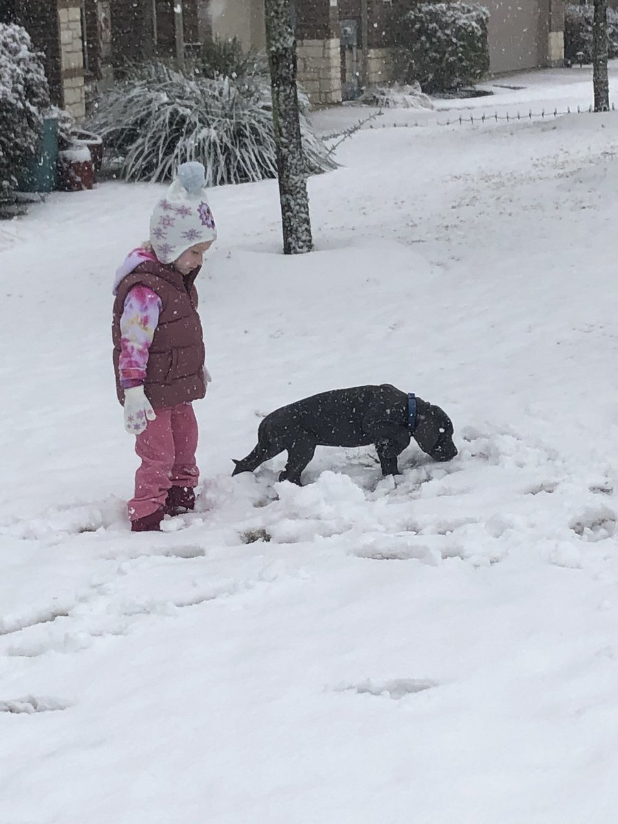 Jamie683's tweet image. Snow balls and snow angels! How fun! #snowday #beDSE