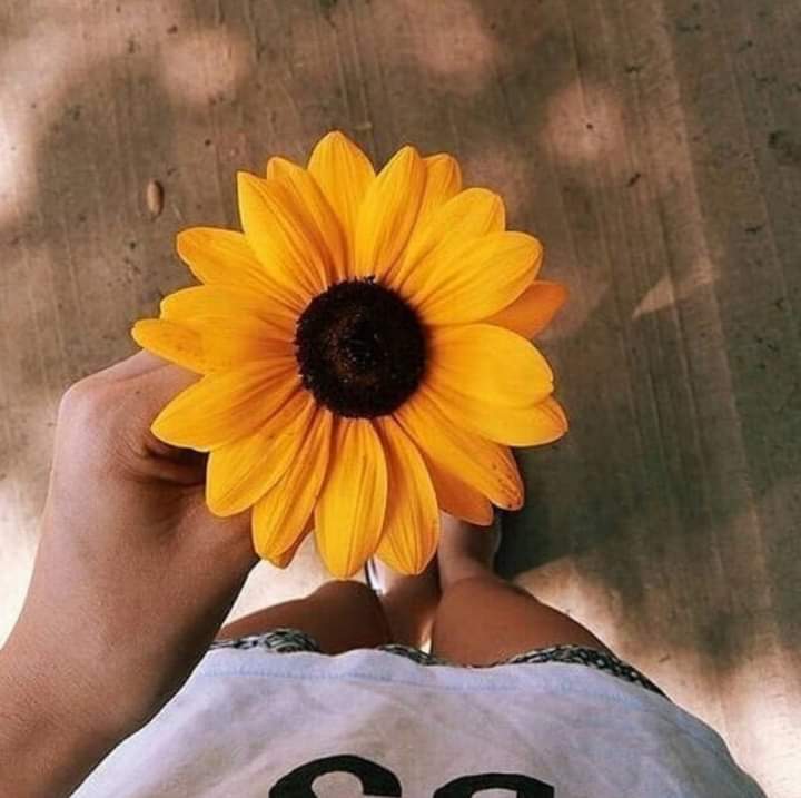 MilagroIM3's tweet photo. Excelente lunes para todos, buenas vibras 😊🥳💯💫🎉 https://t.co/qhnpRpmmcY