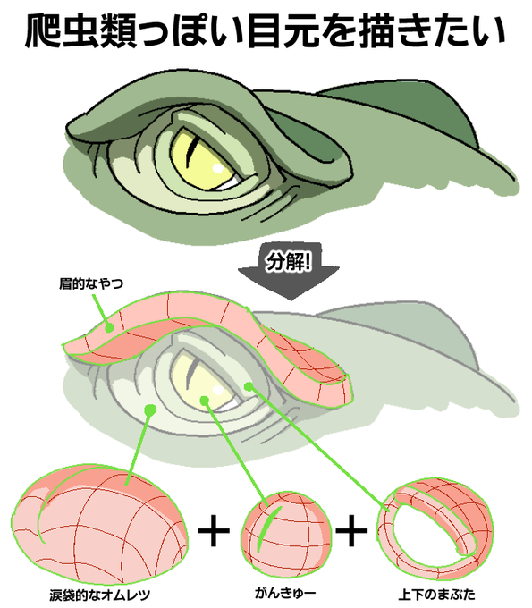 爬虫類のtwitterイラスト検索結果 爬虫類のtwitterイラスト検索結果