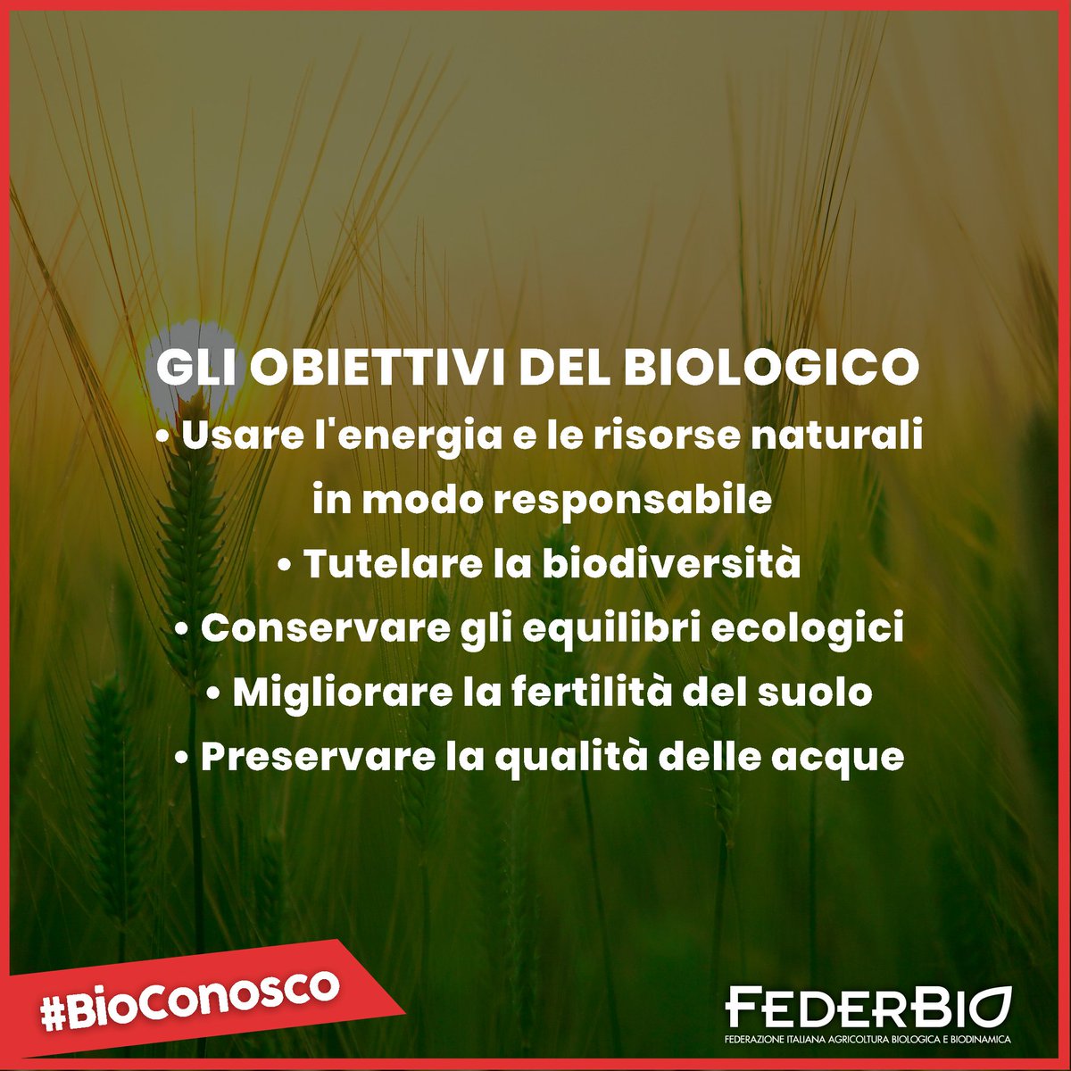 FederBio's tweet photo. #BioConosco https://t.co/OIjAyDQoe0