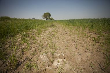 usfs_srs's tweet photo. Coastal states are at greater risk of soil salinization due to rising sea level and larger storm surges says @USDAClimateHubs #SoutheastClimateHub. Their #NewPublication covers impacts on working lands & crops and how to maintain productivity: https://t.co/8i74wpqAuO https://t.co/1XWF5DIWER