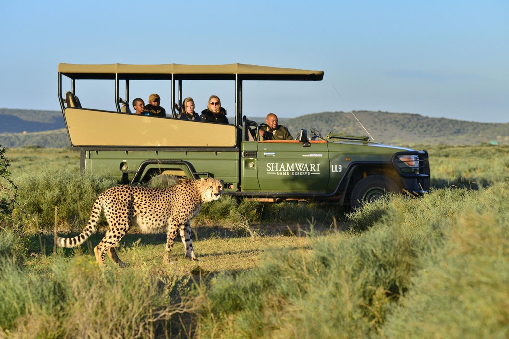 JumbariOfficial's tweet photo. Our General Manager of Marketing and Product, Lisa Nel, traveled to @ShamwariReserve in Eastern Cape, #SouthAfrica for a #BigFive #familysafari experience. 

Read about her experience here: https://t.co/GMKmvqeYim https://t.co/H45YAQlZbt