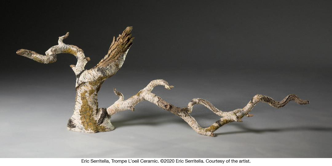 Honoring_Future's tweet photo. Winter is the ideal time to explore the #architecture of trees. @EricSerritella’s ceramic sculptures celebrate birches – their splendor, tenacity and resilience despite human disregard. https://t.co/lqQFkGIB2Q