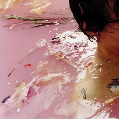  the iconic harry styles album photoshoot by harley weir; a thread 