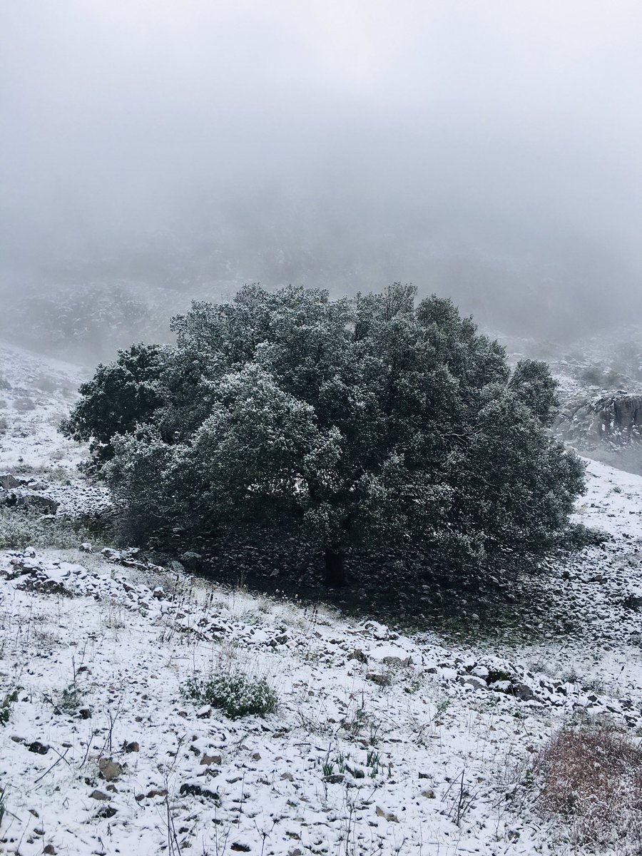 Ayer disfrutamos de la bella natura en Benaocaz, en el Parque Natural de la Sierra de Grazalema