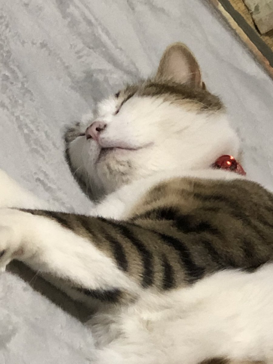 u___min3142's tweet photo. なにしてもかゎいい💕 https://t.co/R9z5e8RUhM