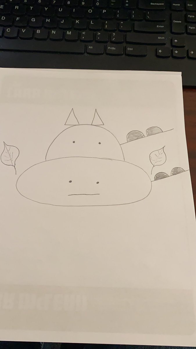 JJRaymer's tweet photo. What does my drawing look like?? #DDSBCampusConnect https://t.co/tpRIKdYf4P