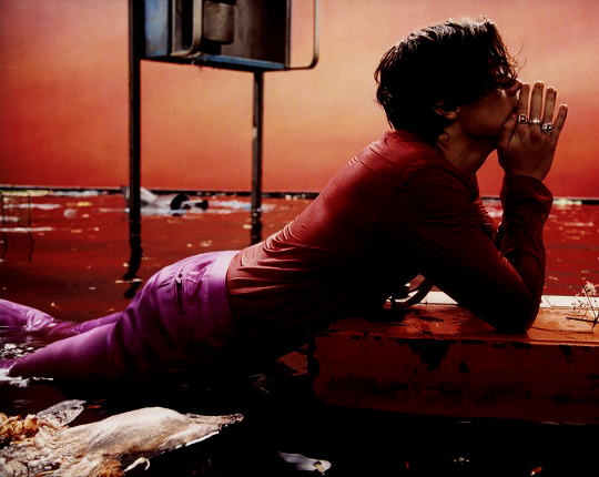  the iconic harry styles album photoshoot by harley weir; a thread 