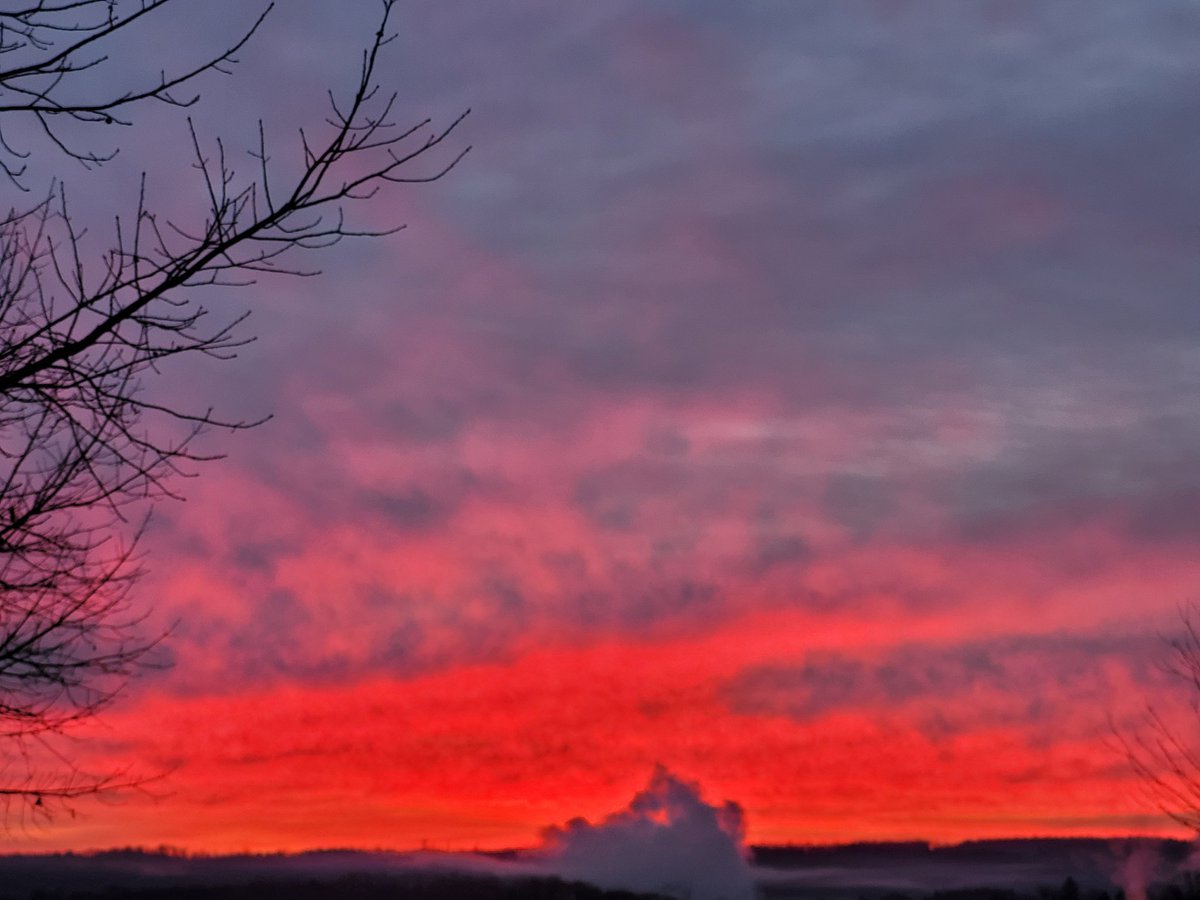 SpecEdSup_SGASD's tweet photo. A beautiful start!  Have a wonderful week in the Grove! https://t.co/toObTiOkpG