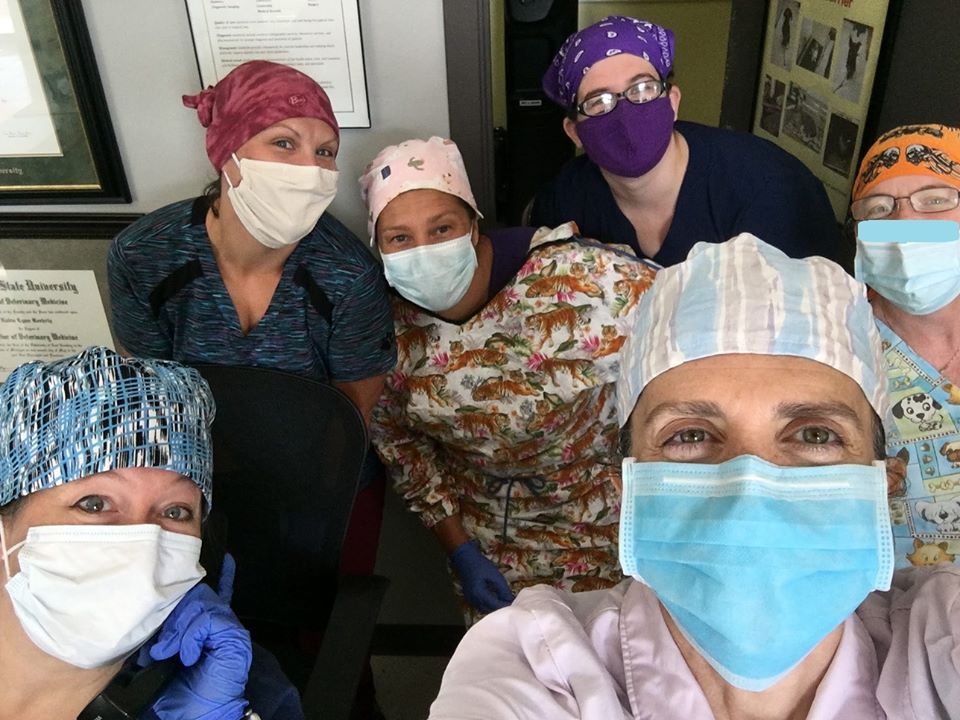 CCAHinA2's tweet photo. We think @MIFirstDogs would be concerned to know that veterinary professionals do not have a 1b category to sign up for our #COVIDVaccination - can you please help us @GovWhitmer? We are doing our best to stay healthy and care for pets and support #PublicHealth. https://t.co/ZkZiDbgy8T