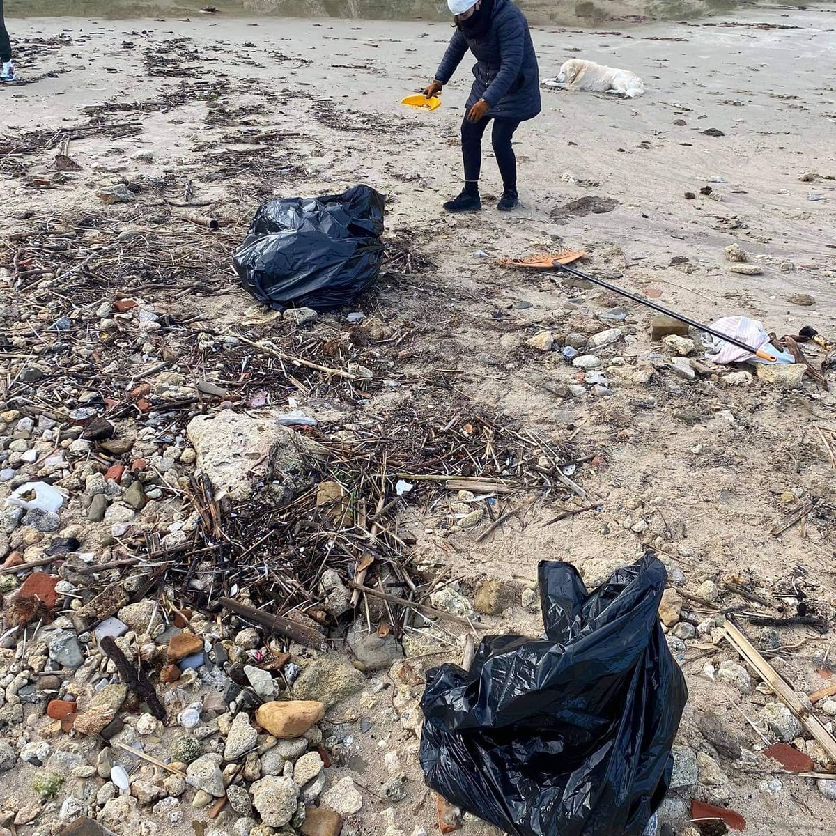 Verdemar_EA's tweet photo. Un aplauso por la generosidad empleada en limipara las playas de #Tarifa. Hauke Bürger y sus colaboradores lo hicieron hoy en la #Isladelaspalomas .
Gracias por vuestra entrega
#StopBasuras
#StopPlásticosEnElMar https://t.co/FhihuhEKT5