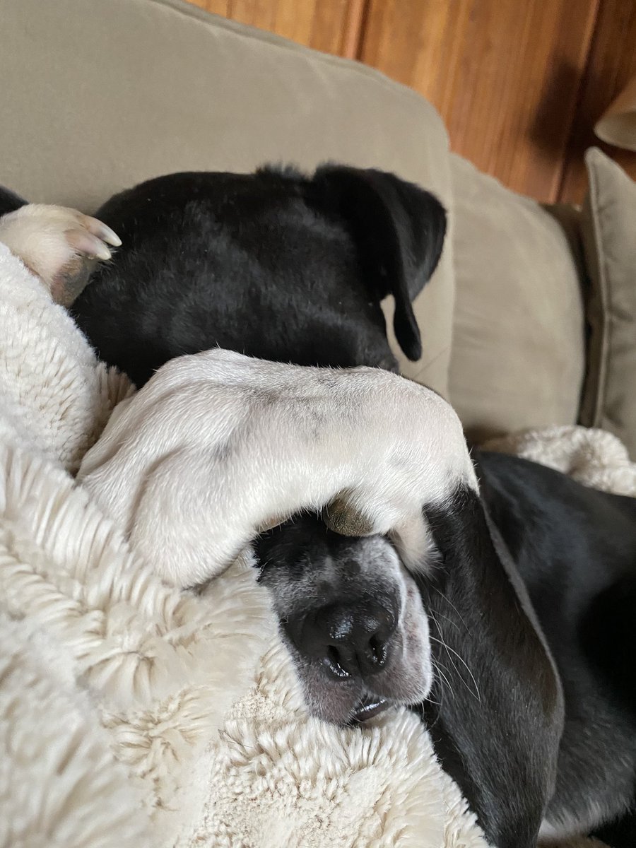 Only the 2nd Monday of 2021 and we’re already exhausted