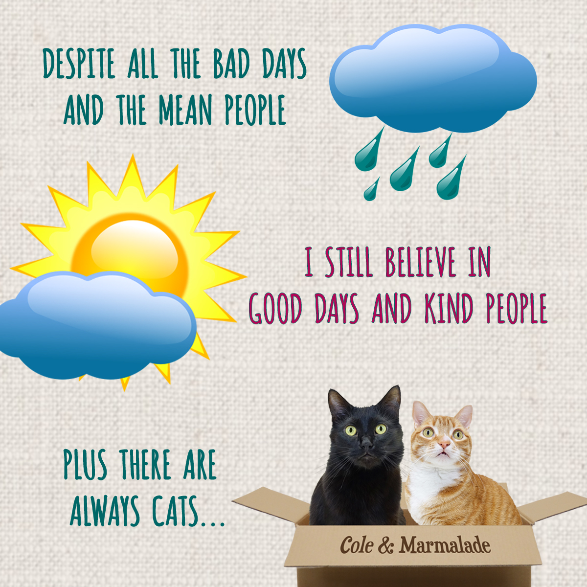 Cole & Marmalade tweet media