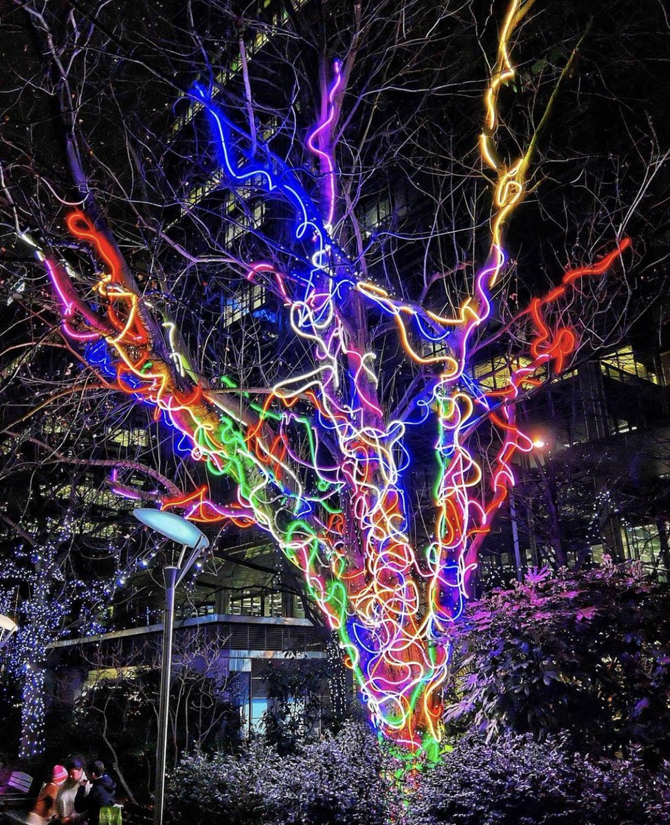Art on the River - @CanaryWharfGrp's  'Connected by Lights' outside exhibition is still open. Perfect way to bring some light to your lockdown. Open until Saturday 27 February.

--

#canarywharf #canarywharflights #london #connectedbylights #outdoors #london