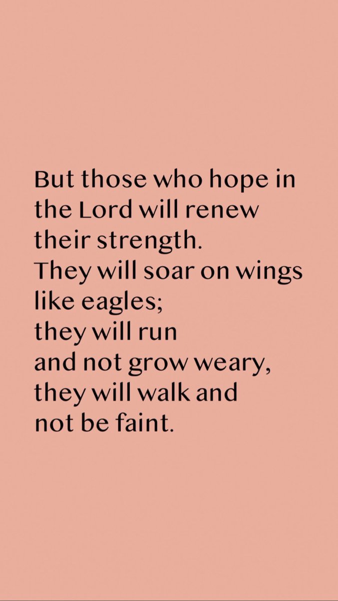 BibleQuote365's tweet photo. But those who hope... https://t.co/vZkCxqvYho
