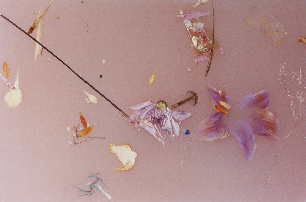  the iconic harry styles album photoshoot by harley weir; a thread 