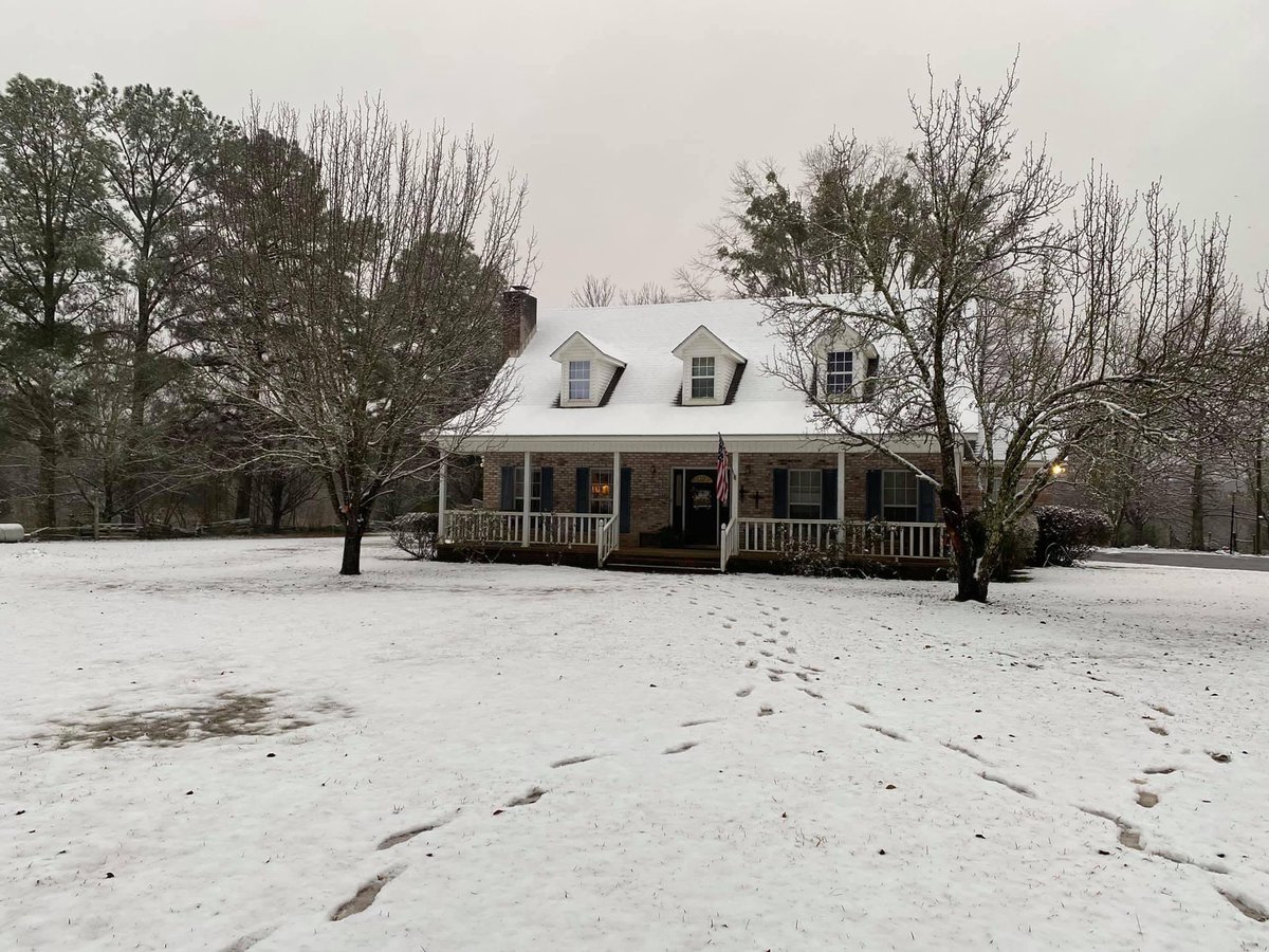 Dogsfollower's tweet image. #SnowDay2021