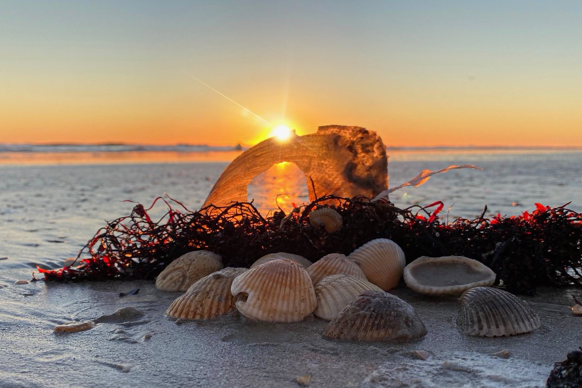 Good Morning from #NewSmyrnaBeach #Florida - We'll be enjoy #Monday in the 70's... Would you like to join us?

Come #Home to #NSB
☀️ Click 👇🏻 Here  ☀️
bit.ly/JustListedNSB

#MoveToNSB #MoveToFlorida #BeachHouse #REALTOR #LoveWhereYouLive #Beach #Ocean