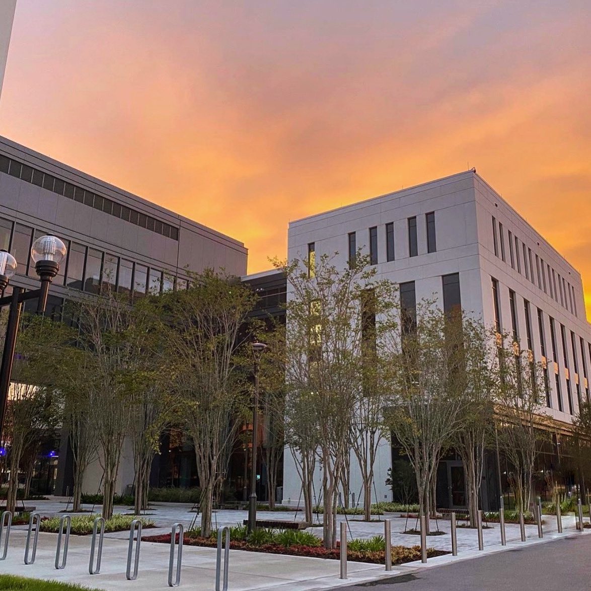 UCFDowntown's tweet photo. Rise and shiiiiine ✨ happy first day of the spring semester! We’re happy you’re here. 💛 https://t.co/wKv4f51LTD