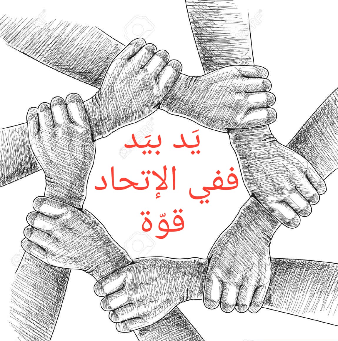 dOlOGTXzVT7qCkJ's tweet photo. بإتحادنا سنحصل على ما نريد
#حقي_العقد_الكامل https://t.co/sAIJuugkGq