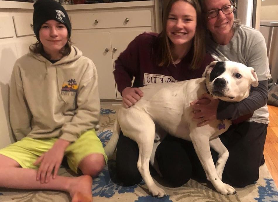 CityDogsCLE's tweet photo. More good news for this #VictoryMonday!😃ADOPTION PUPDATE! Congratulations to Marco, Sylvester, Magnus, Lady, Gamma, Birdie, Ned, Linus, Shea, Gabriel, Caleb, Macklin and Felicity for finding their forever homes this week!

Thanks so much for adopting a #CITYDOG! https://t.co/n6xWN1e4is