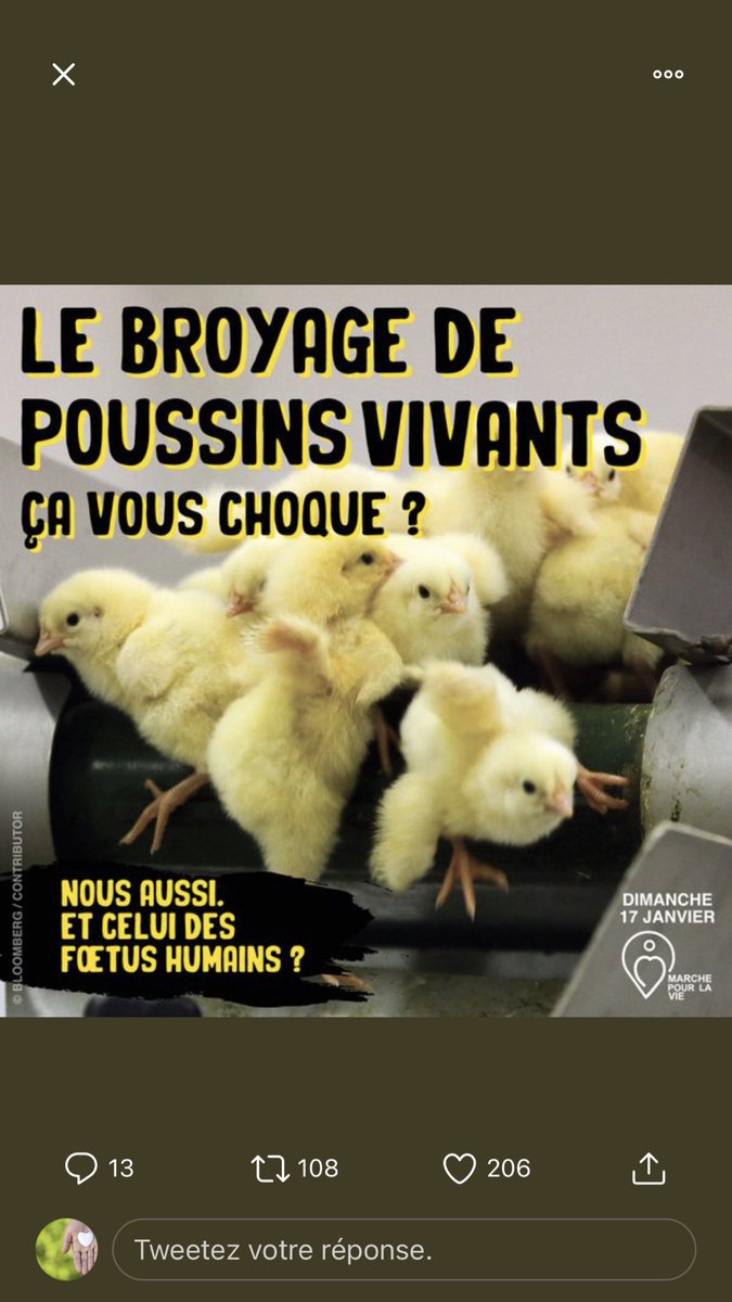 BoumardJ's tweet photo. https://t.co/73vjOaHpeH