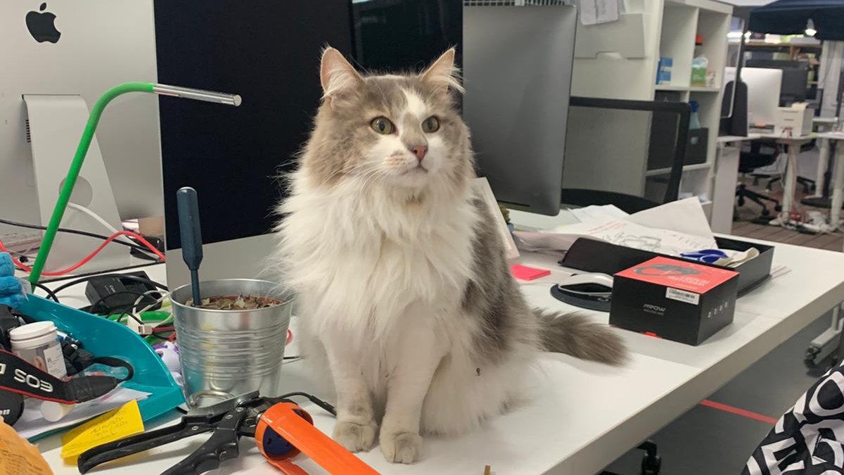 Charly Itscharly Twitter